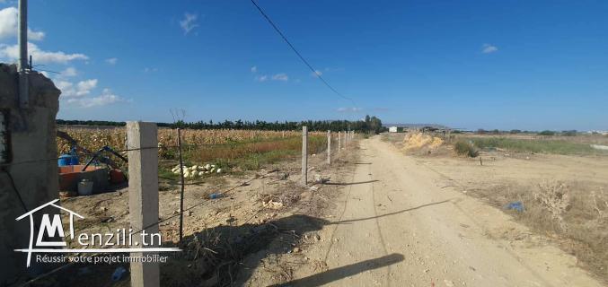Ferme 3 Hektar à chraf el Haouaria