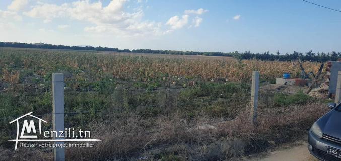 Ferme 3 Hektar à chraf el Haouaria