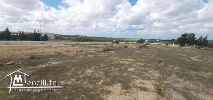 Terrain de 2000 m² à Tamezrat – Kélibia