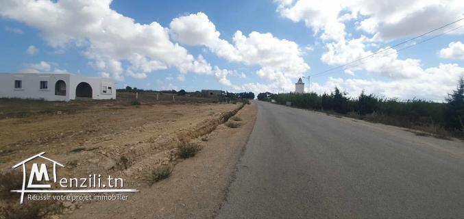 Terrain de 2000 m² à Tamezrat – Kélibia