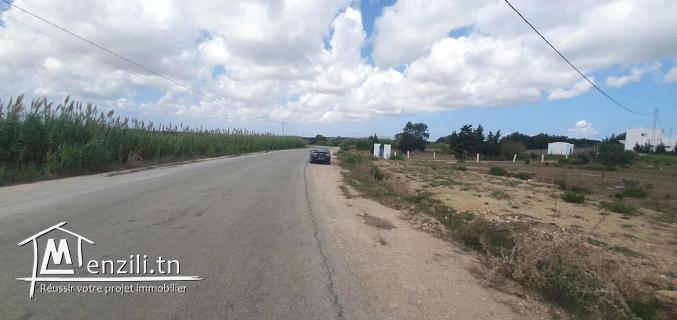 Terrain de 2000 m² à Tamezrat – Kélibia