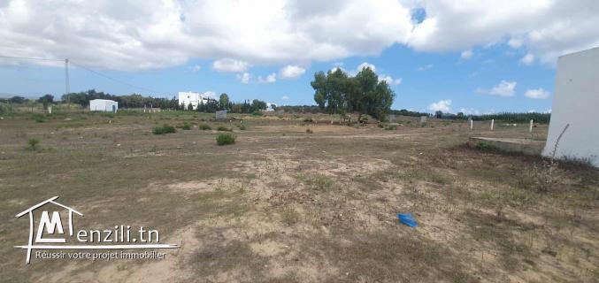 Terrain de 2000 m² à Tamezrat – Kélibia