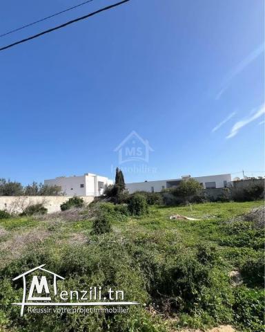 Un terrain de 650 m² dans la zone de Sidi Mahressi à vendre 51355351