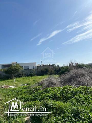 Un terrain de 650 m² dans la zone de Sidi Mahressi à vendre 51355351