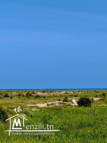 terrain à vendre dans une emplacement agréable