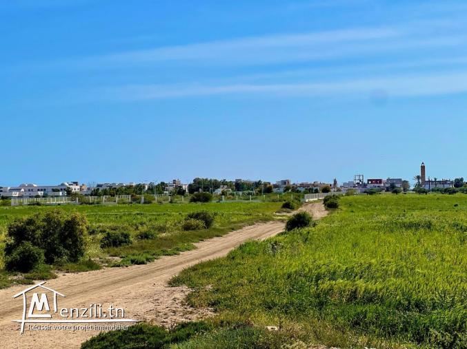 terrain à vendre dans une emplacement agréable