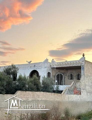 Une maison à vendre à 140 MD à Hammamet Sud 51355351