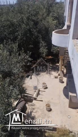 Une maison à vendre à 140 MD à Hammamet Sud 51355351