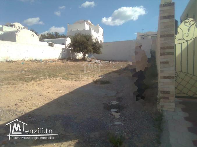 Terrain de 347 m² à vendre à Hammamet centre ville 51355351