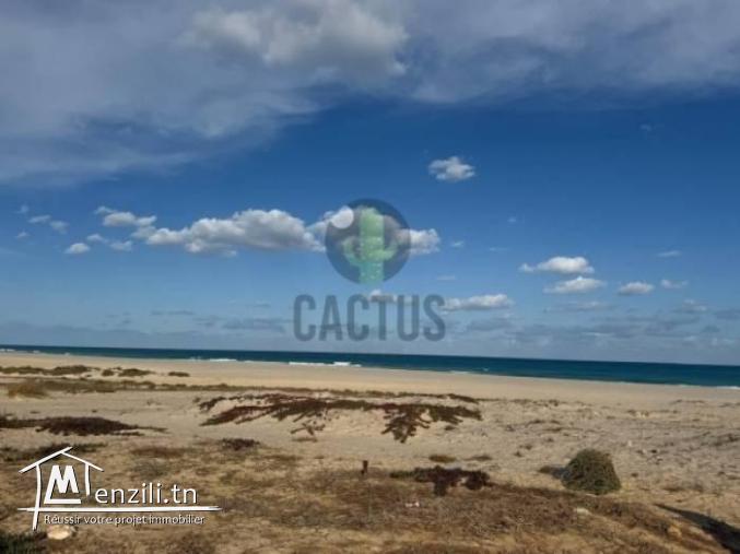 À vendre terrain de 1492m² à Daroufa Nabeul.