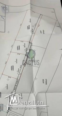 À vendre terrain de 1492m² à Daroufa Nabeul.