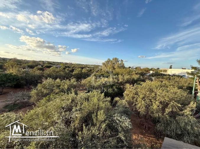 Terrain de 500 m² à daroufaa à vendre 51355351