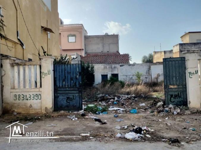 Terrain 374 m² au Bardo – Derrière Forum, rue 20 Mars