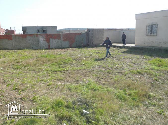 Vente terrain viabilisé