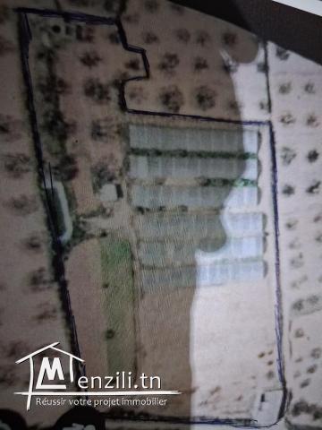 Vente terrain agricole