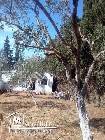 terrain 308 m 2 + maison 60 m2