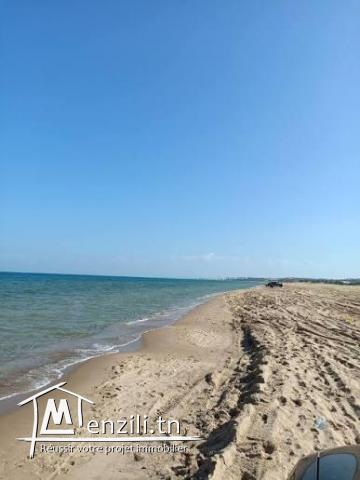 ???? Terrain à vendre – Raoued Plage ????