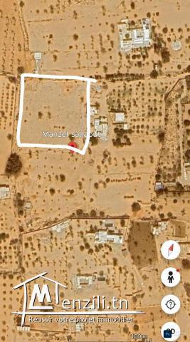 Terrain à vendre à khazroun Djerba