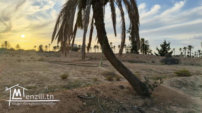Terrain à vendre à khazroun Djerba