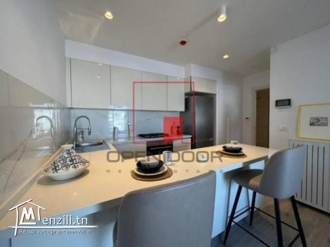 Appartement S1 richement meublé