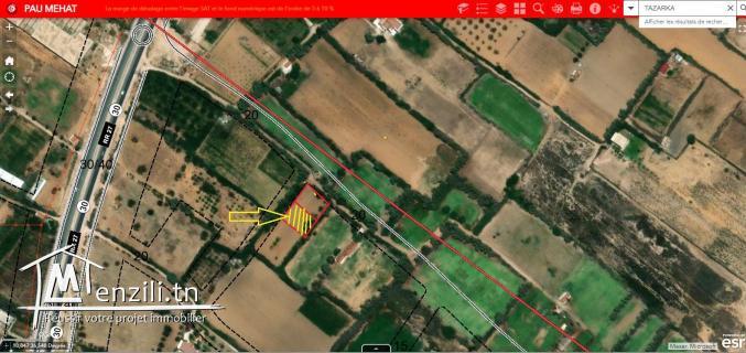 Terrain à Vendre -Plage Tazarka