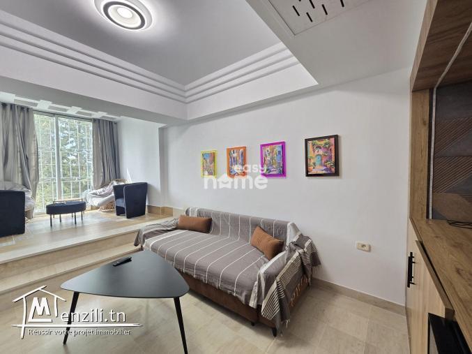 Duplex meublé de 200m2 au Lac 2