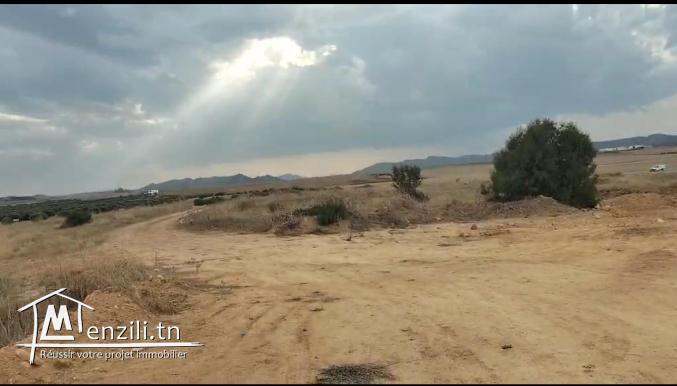 Terrain à vendre – Hammamet (El Menchar)