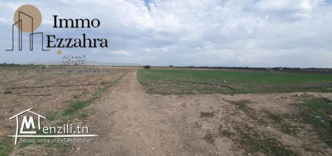 للبيع  44مرجع في ابان – الهوارية