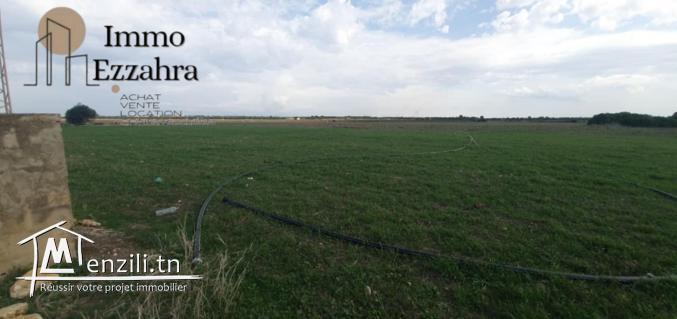 للبيع  44مرجع في ابان – الهوارية