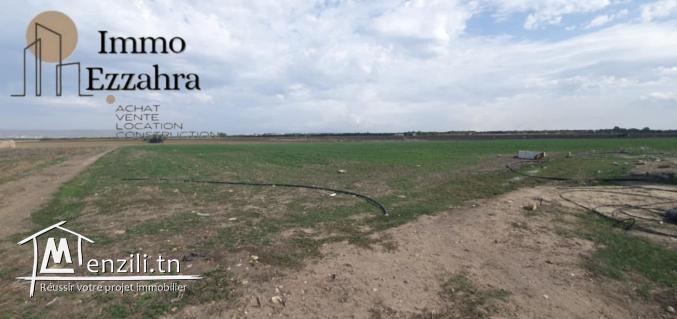 للبيع  44مرجع في ابان – الهوارية