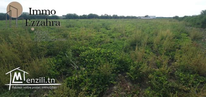 للبيع  44مرجع في ابان – الهوارية