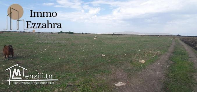 للبيع  44مرجع في ابان – الهوارية