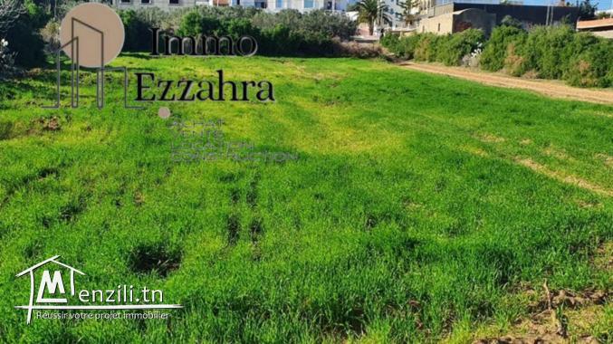 للبيع أرض وجهة الثانية بالنسبة لكياس قليبية الهوارية