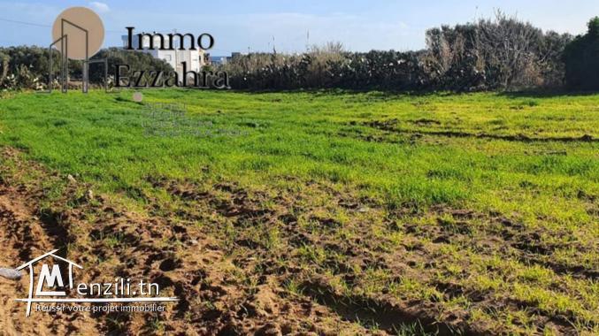 للبيع أرض وجهة الثانية بالنسبة لكياس قليبية الهوارية