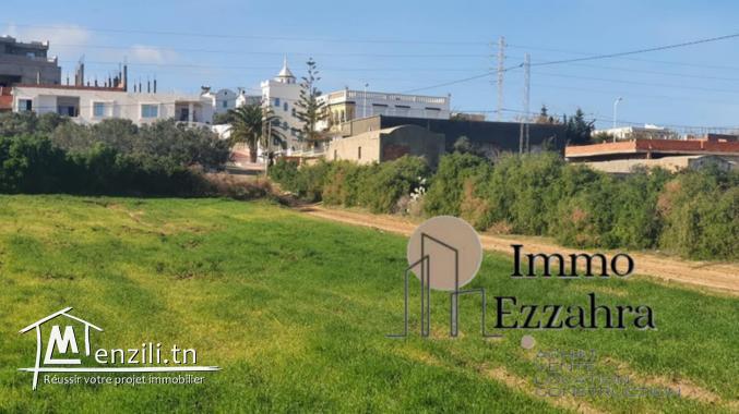 للبيع أرض وجهة الثانية بالنسبة لكياس قليبية الهوارية