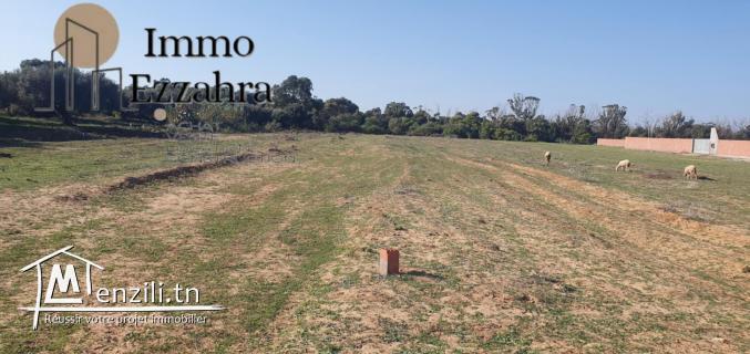 أراضي للبيع بالزهراء – حمام الغزاز – قليبية