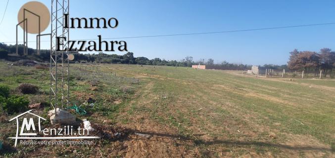 أراضي للبيع بالزهراء – حمام الغزاز – قليبية