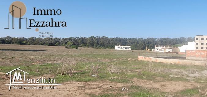 Terrain à vendre 400m de la plage Ezzahra Kélibia