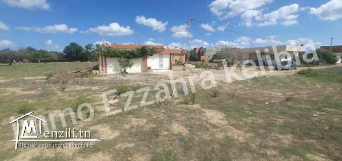 تقسيم  للبيع في قليبية  في جوهرة الوطن القبلي – قليبية