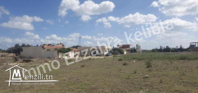 تقسيم  للبيع في قليبية  في جوهرة الوطن القبلي – قليبية