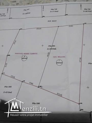 Terrain à RafRaf Ville