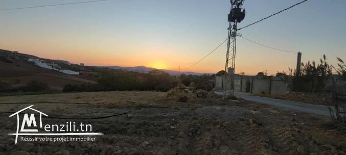 Terrain à RafRaf Ville