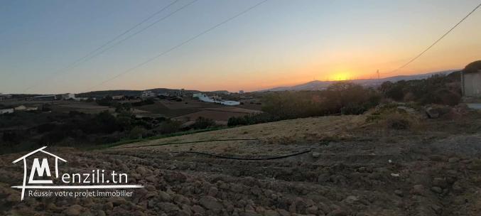 Terrain à RafRaf Ville