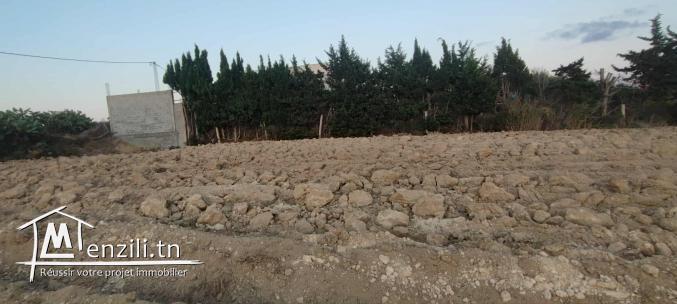 Terrain à RafRaf Ville