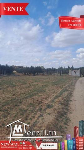 Terrain Agricole à Sidi Bouali près de l'autoroute et GP1