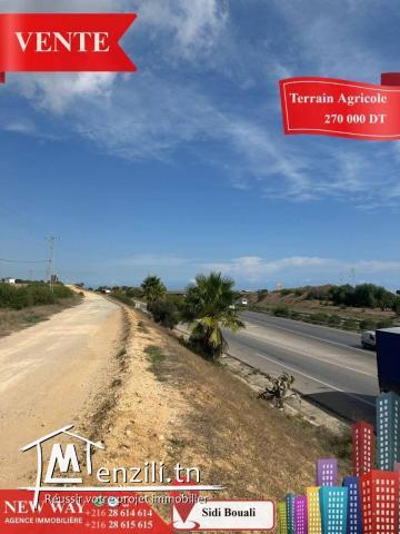 Terrain Agricole à Sidi Bouali près de l'autoroute et GP1