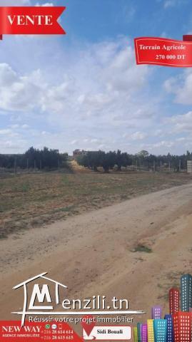 Terrain Agricole à Sidi Bouali près de l'autoroute et GP1