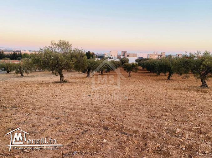 Terrain de 4018 m² à vendre à 200 dt/m² à Hammamet Sud