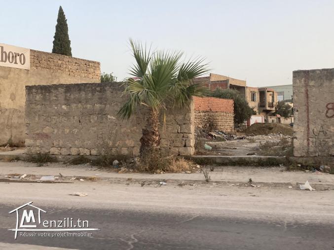 Terrain commercial 448 m² sur avenue principale – Titre foncier individuel – Zone R+4