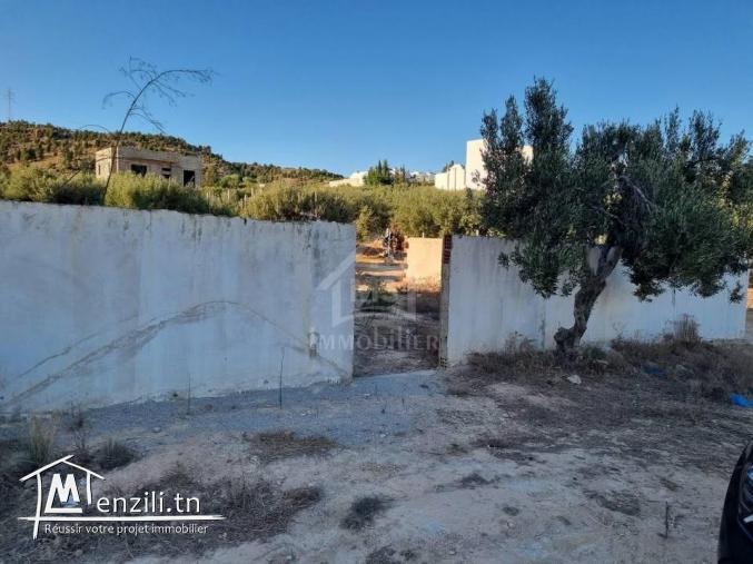 Terrain de 238 m² à vendre à Hammamet Nord 51355351